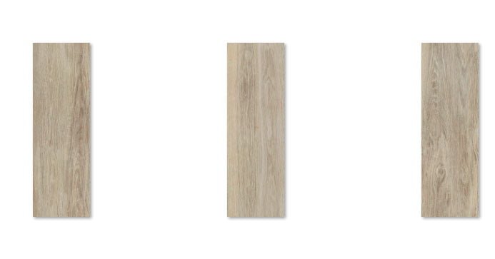 forest-1200x395-s